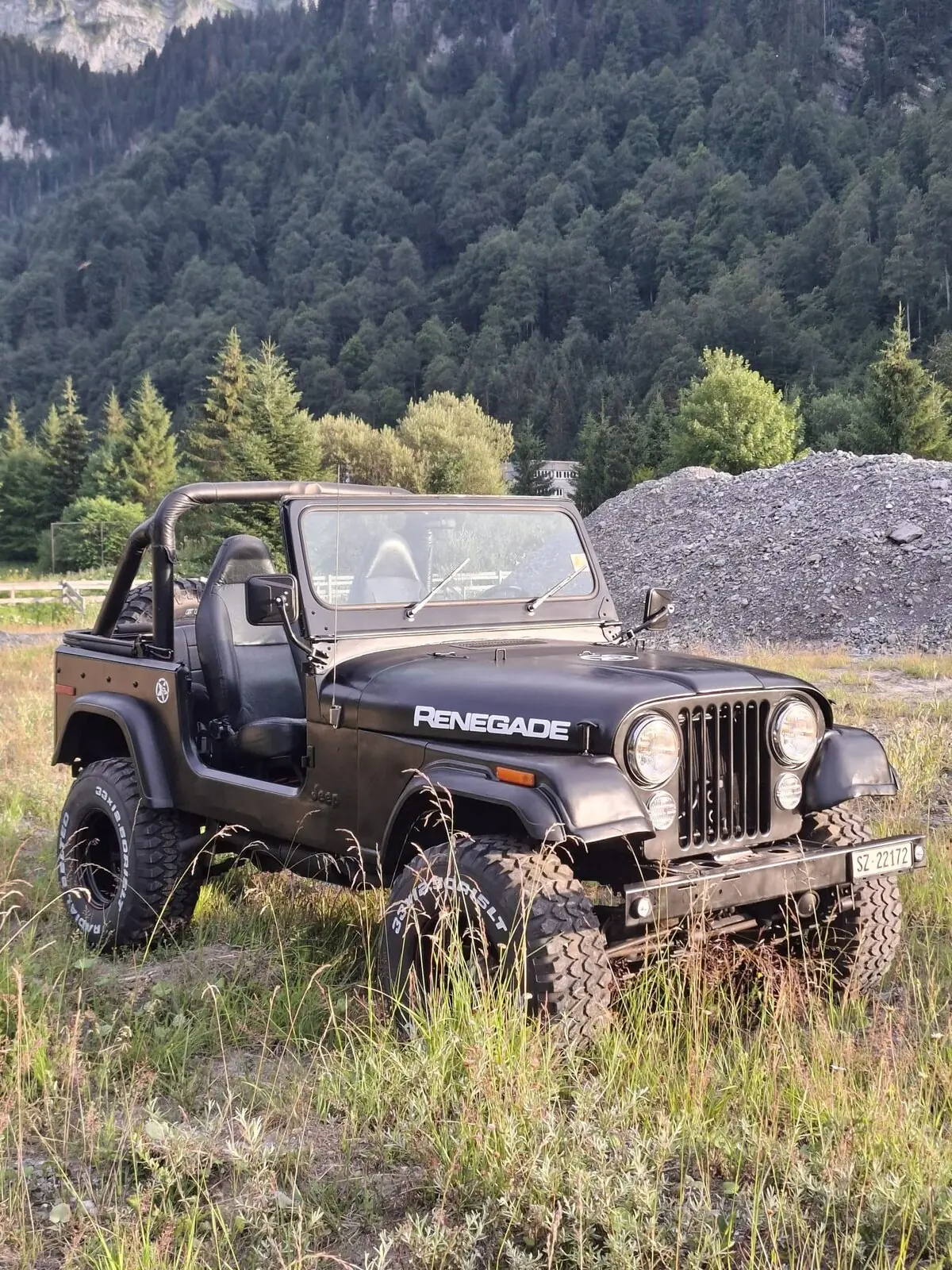 Jeep Renegade 1978 occasion Euthal — 2