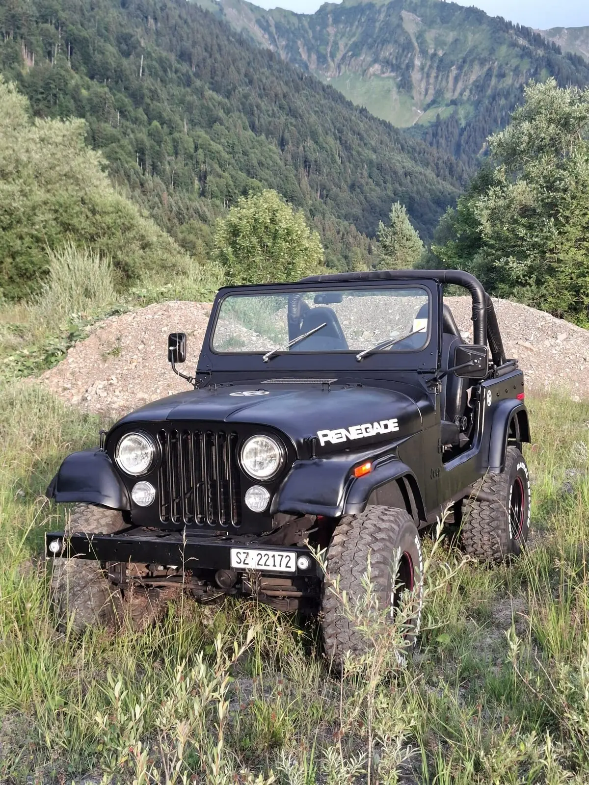 Jeep Renegade 1978 occasion Euthal — 3