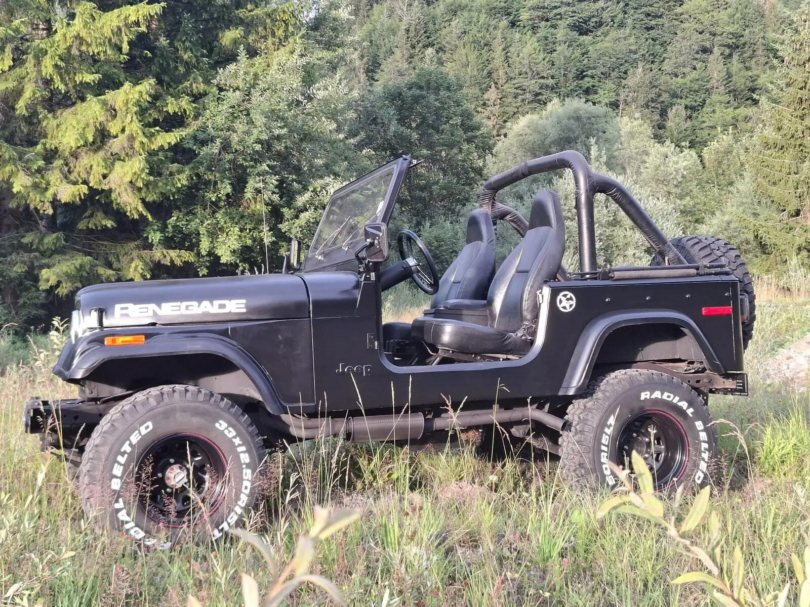 Jeep Renegade 1978 occasion Euthal — 4