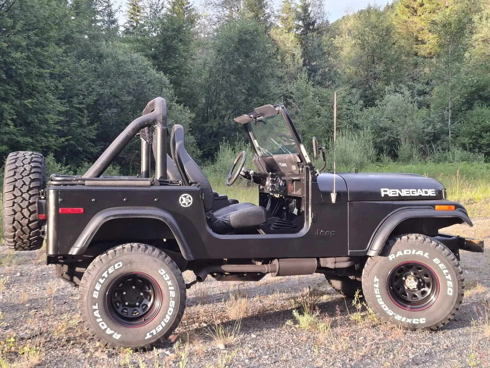 Jeep Renegade 1978 occasion Euthal — 5