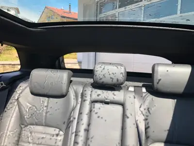 Land Rover Range Rover Evoque 2018 — Élégance SUV compact, 4x4 intégral, faible kilométrage — Miniatur 11