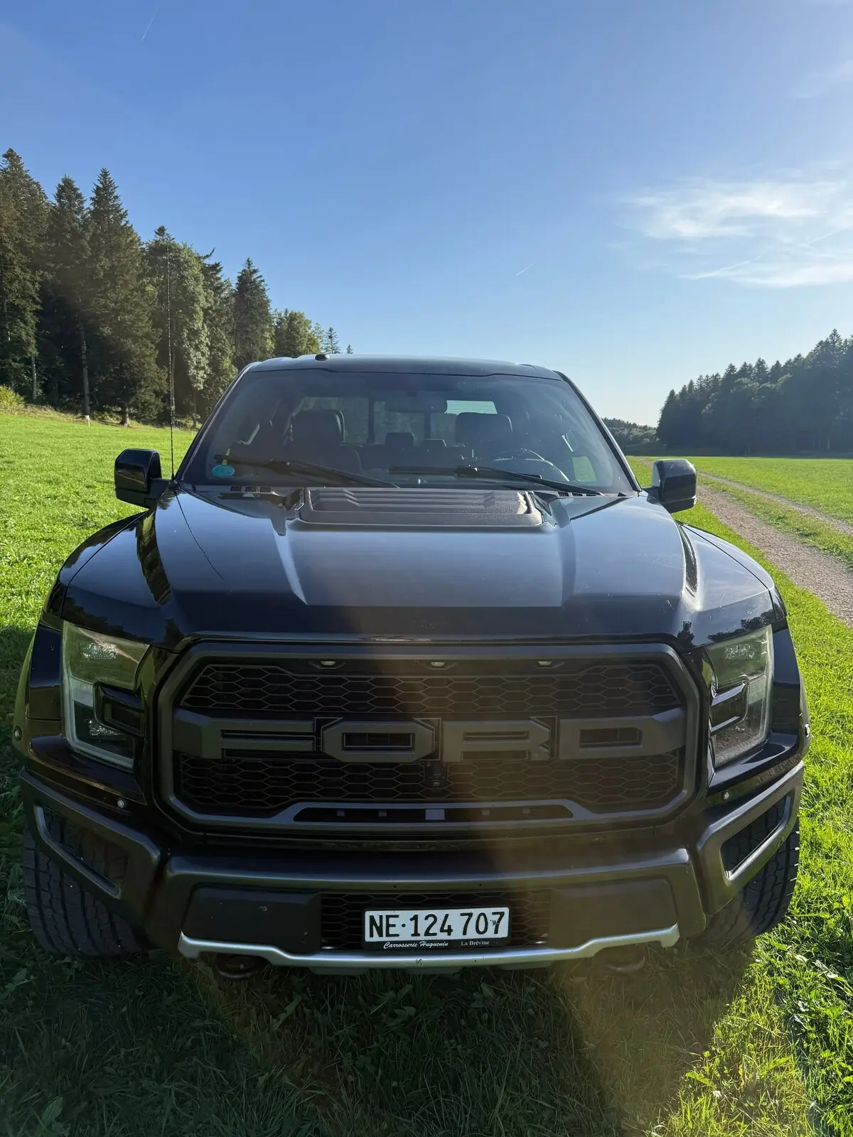 Ford F150 2019 occasion Brot-Plamboz — 3