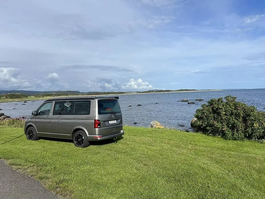Volkswagen T6 California 2021 occasion Lohn-Ammannsegg — 2