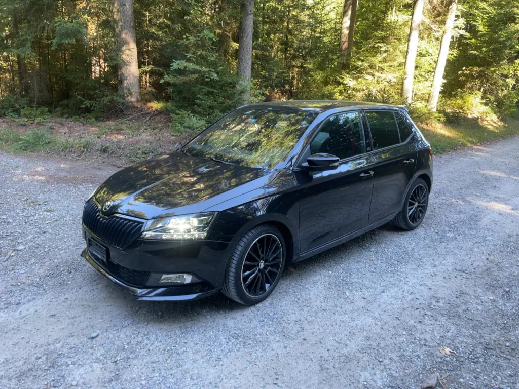 Skoda Fabia 2019 occasion Heimenschwand — 2