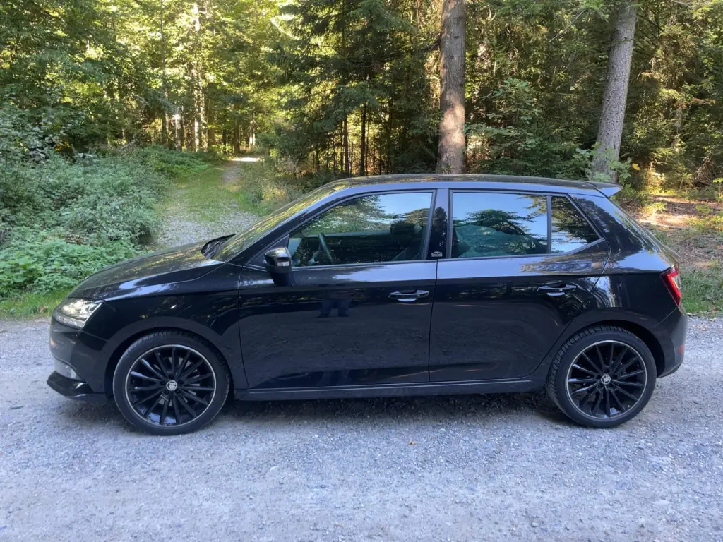 Skoda Fabia 2019 occasion Heimenschwand — 3