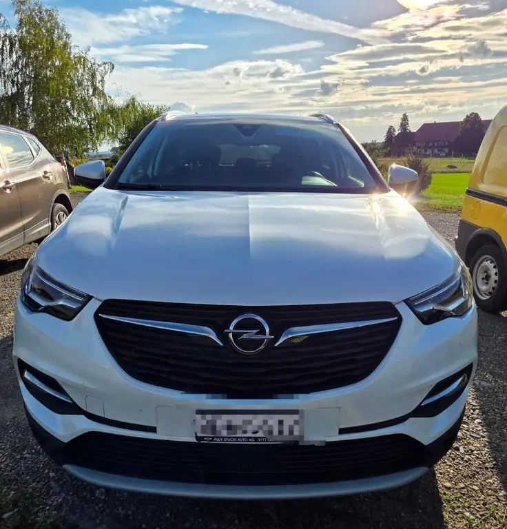 Opel Grandland X 2021 occasion Rosshäusern — 1