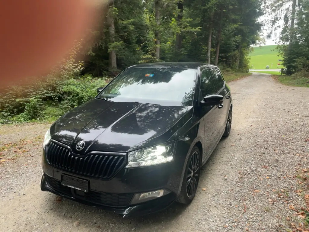 Skoda Fabia 2019 occasion Heimenschwand — 2