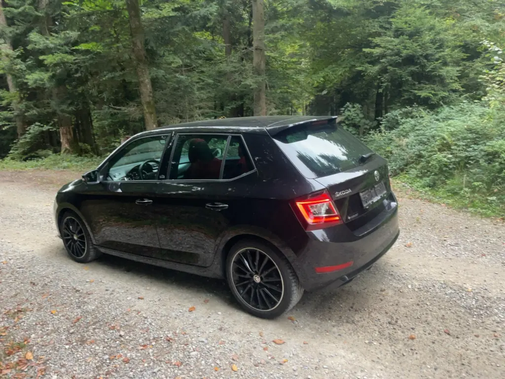 Skoda Fabia 2019 occasion Heimenschwand — 4